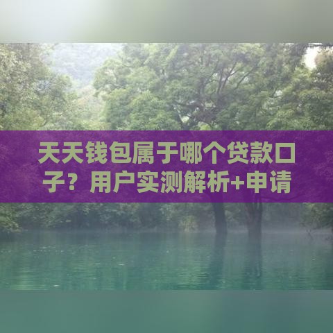 天天钱包属于哪个贷款口子？用户实测解析+申请流程全攻略