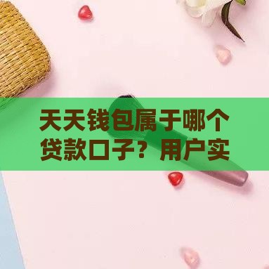 天天钱包属于哪个贷款口子？用户实测解析+申请流程全攻略