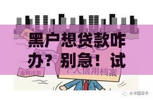 黑户想贷款咋办？别急！试试这3个靠谱应急口子