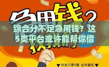综合分不足急用钱？这5类平台或许能帮你借到款