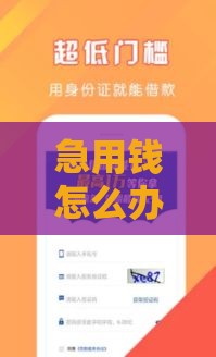 急用钱怎么办？商城类转借款口子这些操作技巧必看！