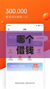 2025年借钱大师软件可信吗，整合5个最新身份证就能贷款的平台