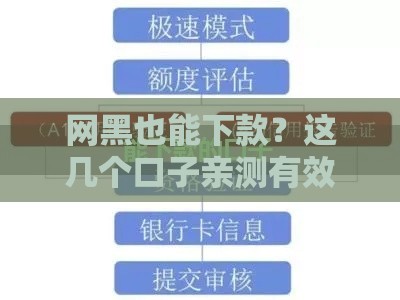 网黑也能下款？这几个口子亲测有效，速看避坑指南！