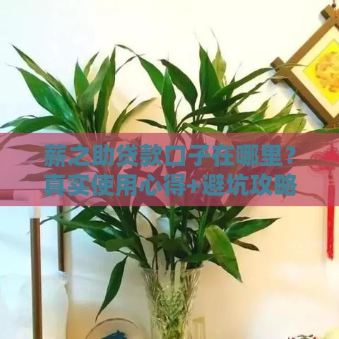 薪之助贷款口子在哪里？真实使用心得+避坑攻略全解析