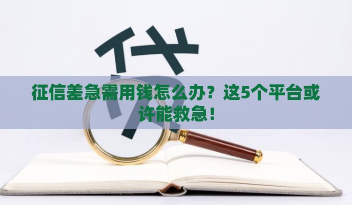 征信差急需用钱怎么办？这5个平台或许能救急！