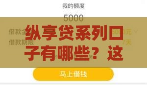 纵享贷系列口子有哪些？这5个靠谱平台推荐给你