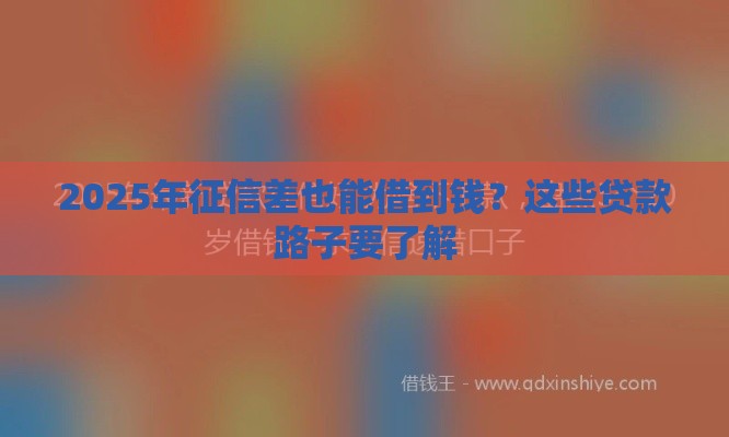 2025年征信差也能借到钱？这些贷款路子要了解