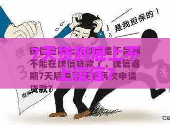 7天贷到底上不上征信？