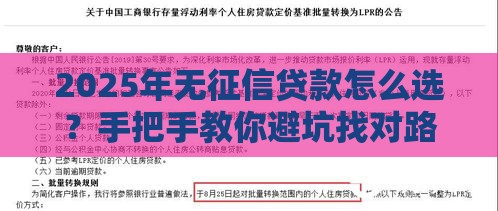 2025年无征信贷款怎么选？手把手教你避坑找对路子