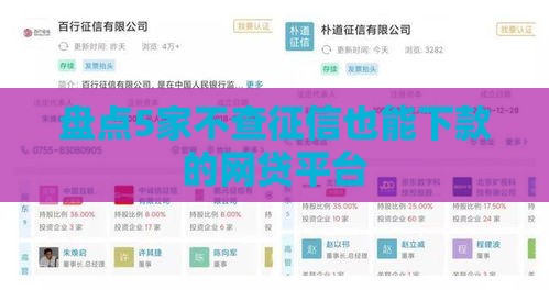 盘点5家不查征信也能下款的网贷平台