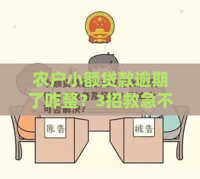 农户小额贷款逾期了咋整？3招救急不伤征信！