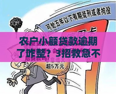 农户小额贷款逾期了咋整？3招救急不伤征信！