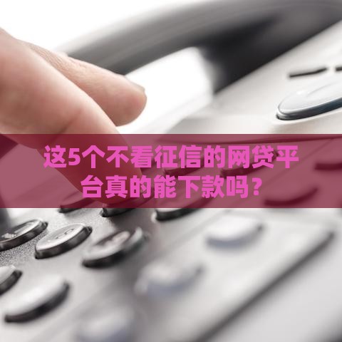 这5个不看征信的网贷平台真的能下款吗？