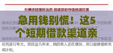 急用钱别慌！这5个短期借款渠道亲测靠谱，一个月内就能还清！