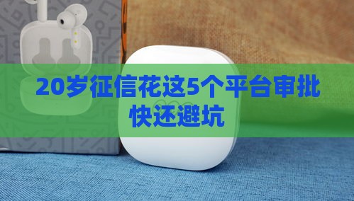 20岁征信花这5个平台审批快还避坑