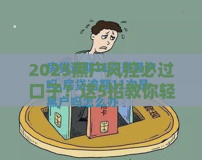 2025黑户风控必过口子？这5招教你轻松搞定贷款难题