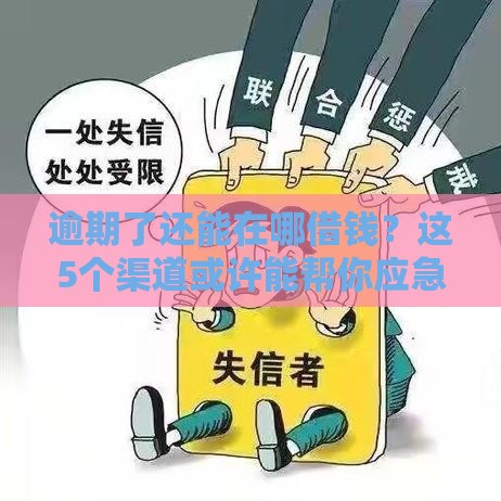 逾期了还能在哪借钱？这5个渠道或许能帮你应急