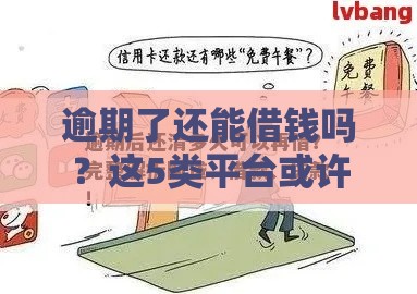 逾期了还能借钱吗？这5类平台或许能救急！