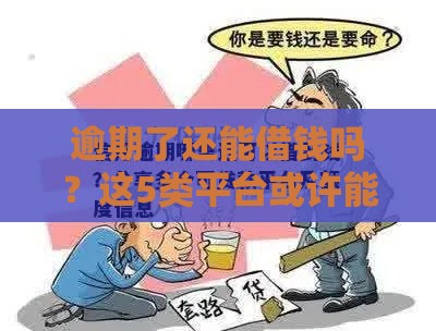 逾期了还能借钱吗？这5类平台或许能救急！