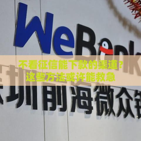 不看征信能下款的渠道?这些方法或许能救急 不看征信能下款的渠道?这些方法或许能救急