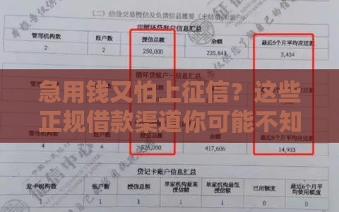 急用钱又怕上征信？这些正规借款渠道你可能不知道！