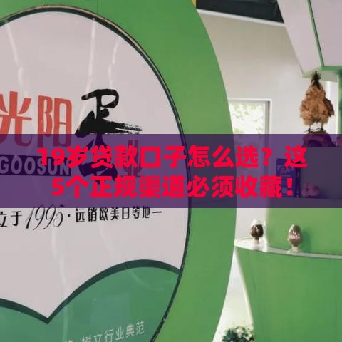 19岁贷款口子怎么选？这5个正规渠道必须收藏！