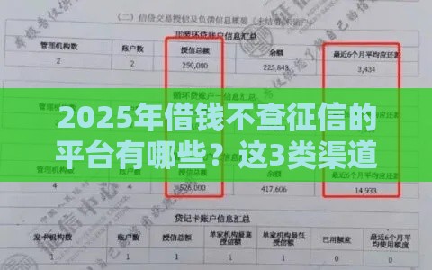 2025年借钱不查征信的平台有哪些？这3类渠道或许能帮到你