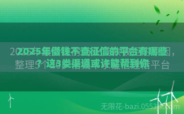 2025年借钱不查征信的平台有哪些？这3类渠道或许能帮到你