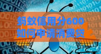 蚂蚁信用分600如何申请消费贷款？低分申贷攻略大公开