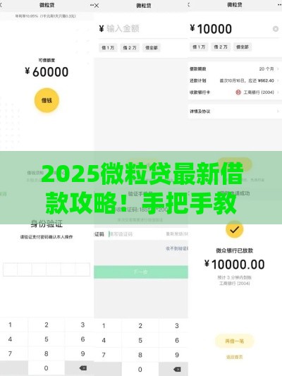2025微粒贷最新借款攻略！手把手教你安全下款
