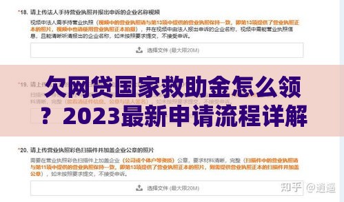 欠网贷国家救助金怎么领?2023最新申请流程详解 欠网贷国家救助金怎么领?2023最新申请流程详解