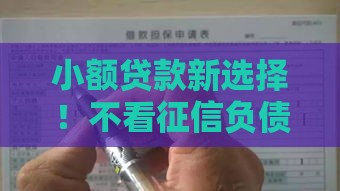 小额贷款新选择！不看征信负债也能申请，快速到账救急必备