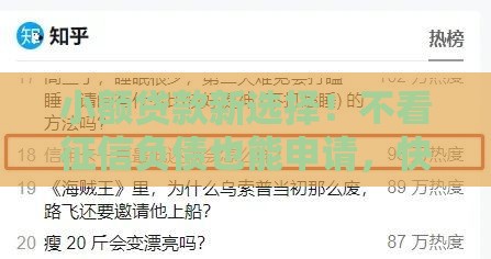 小额贷款新选择！不看征信负债也能申请，快速到账救急必备