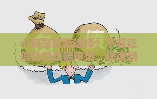 小额贷款新选择！不看征信负债也能申请，快速到账救急必备