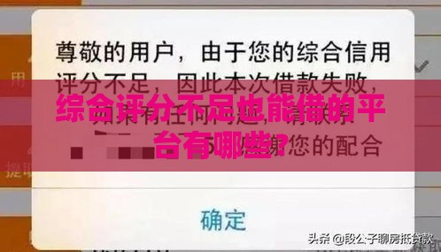 综合评分不足也能借的平台有哪些？