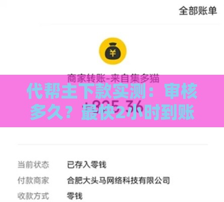 代帮主下款实测：审核多久？最快2小时到账？
