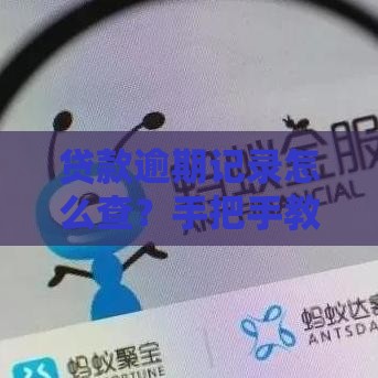 贷款逾期记录怎么查？手把手教你快速查清信用问题