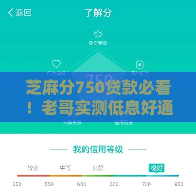 芝麻分750贷款必看！老哥实测低息好通过的口子推荐