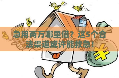 急用两万哪里借？这5个合法渠道或许能救急！
