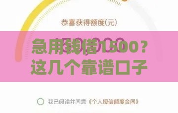 急用钱借1500？这几个靠谱口子下款快，手把手教你选！