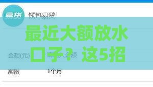 最近大额放水口子？这5招教你轻松申请低息贷款