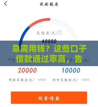 急需用钱？这些口子借款通过率高，告别被拒困扰！
