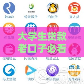 大学生贷款老口子必看攻略：避坑指南+正规平台推荐