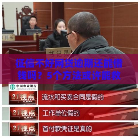 征信不好网贷逾期还能借钱吗？5个方法或许能救急！