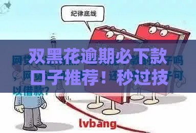 双黑花逾期必下款口子推荐！秒过技巧+真实评测，上岸攻略速看