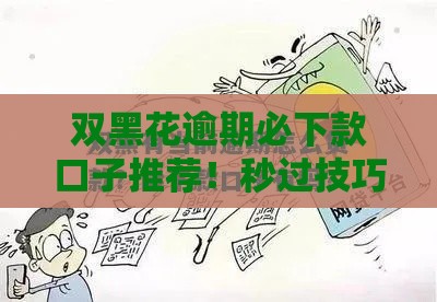 双黑花逾期必下款口子推荐！秒过技巧+真实评测，上岸攻略速看