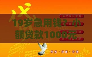 19岁急用钱？小额贷款1000元秒下款平台实测