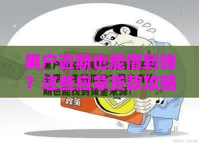 黑户逾期也能借到钱？这些应急贷款攻略请收好！