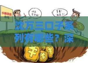 沈万三口子系列有哪些？深度解析贷款干货！避坑指南全在这