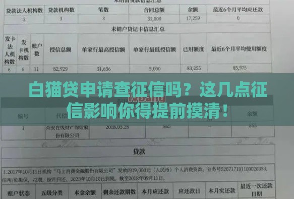 白猫贷申请查征信吗？这几点征信影响你得提前摸清！